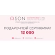 Подарочный сертификат номиналом 12 000 руб.